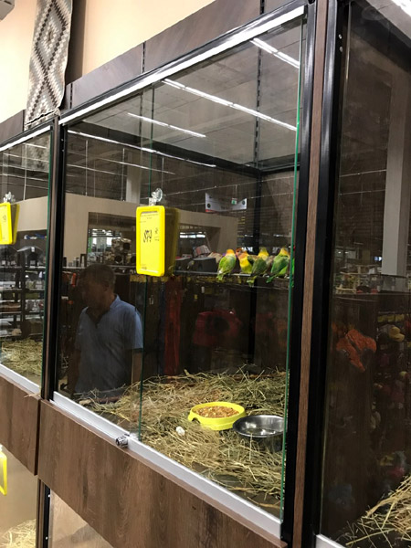 Вольєри для птахів та тварин - Епіцентр