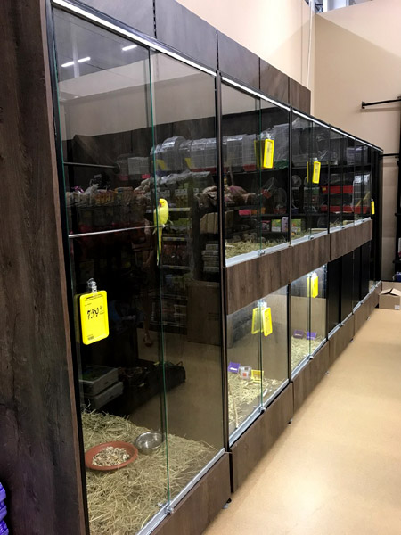 Мережа Епіцентр - наші нові розробки